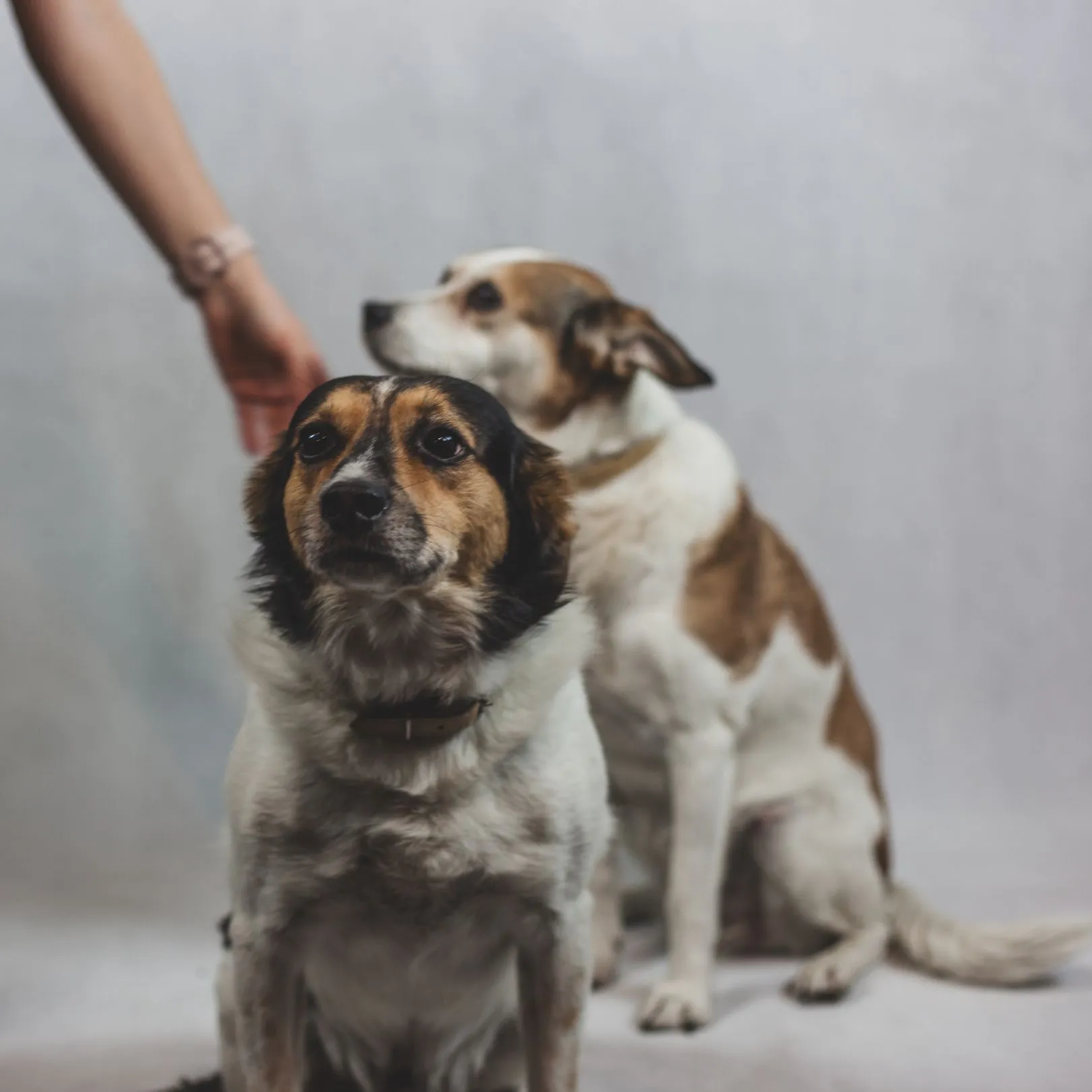 We work closely with the best!