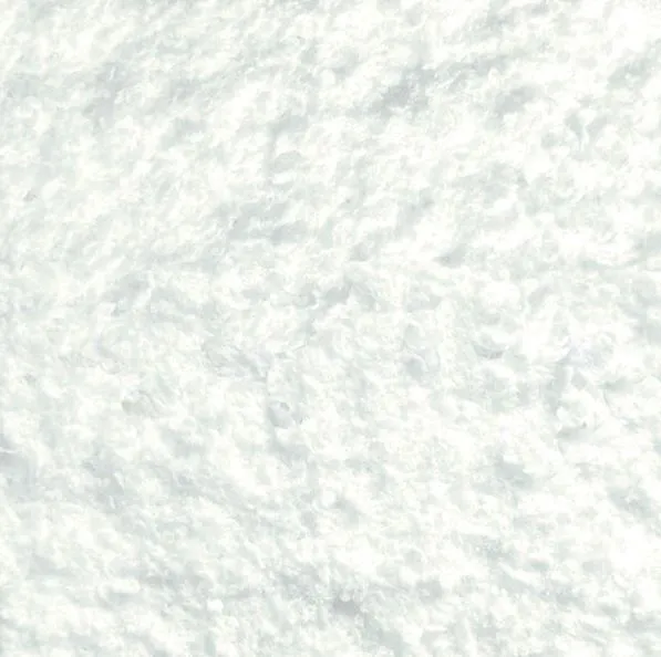 Arctic White